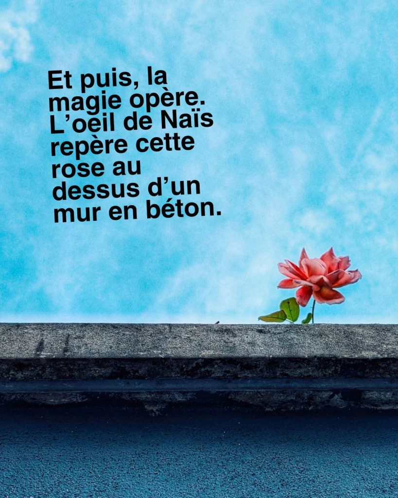 5-balade-photographique-grenoble