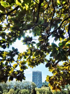 balade-photo-apprentissage-grenoble